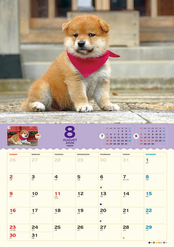 �ڻĤ�鷺���ۥ��������ޥ᥷�� 2026ǯ �ɳݤ��������� CL-381 CL26-381