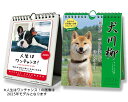 【おまけCL付】2025/09/20発売予定! 人生はワンチャンス! / 犬川柳 週めくり 卓上/壁掛 セット CL26-383 CL26-387 2026年 カレンダー CL26-383-387