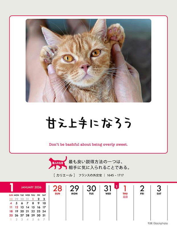 【残りわずか】人生はニャンとかなる! 卓上/壁...の紹介画像2