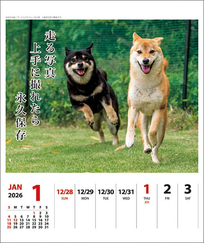 【残りわずか】犬川柳 週めくり 卓上/壁掛 2...の紹介画像2