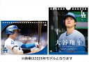 【おまけCL付】2025/11/08発売予定! 卓上 大谷翔平 / 31日万年日めくり 大谷翔平 第二章 卓上カレンダーセット CL26-552 CL26-554 2026年 カレンダー CL26-552-554