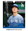 【おまけCL付】2025/11/08発売予定! 31日万年日めくり 大谷翔平 第二章 2026年 カレンダー CL-554 CL26-554
