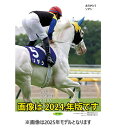 2025/12/13発売予定! 【おまけCL付】報知競馬 2026年 壁掛けカレンダー CL-577 CL26-577