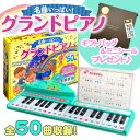 【おまけDVD付】新品 名曲いっぱい! グランドピアノ / 4959321010341 知育おもちゃ 折りたたみ式ピアノ 新装版 50曲収録 両手でひける 37鍵盤 音色3種類 音量調整7段階 カードタイプ楽譜つき 入園 入学祝いにも!(3)