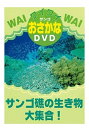 ◆ 商品説明 南の島のキラキラ光る海にもぐってみたら・・・。 サンゴのまわりにきいろやあお、シマシマもようのきれいなさかなが泳いでいるよ。 コアラのキャラクター、ワッツとノリジが楽しく紹介します！ ＜主な収録種＞ クマノミ・スズメダイ・アオウミガメ・フエヤッコダイ・ツノダシ・チョウチョウウオ ■仕様：DVD ■品番：DKLA-1013 ■JAN：4984705800768 ■発売日：2001.08.24 60分／片面一層／MPEG-2／COLOR／複製不可／STEREO 販売元 : コアラブックス 登録日：2021-06-14＜ 注 意 事 項 ＞ ◆おまけカレンダーに関する問合せ、クレーム等は一切受付けておりません。 絵柄はランダムとなります。絵柄の指定は出来かねます。 予めご了承ください。