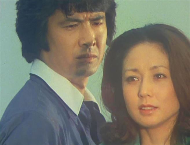 【おまけCL付】逢えるかも知れない コレクターズDVD [HDリマスター版] [昭和の名作ライブラリー 第121集] / (6DVD) BFTD462-RPR