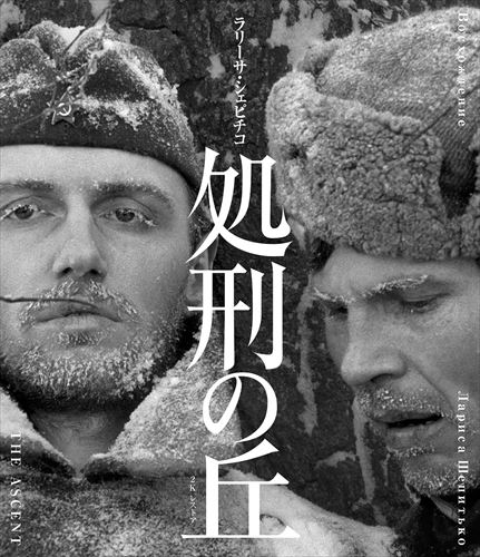 ◆ 商品説明 「裏切りか？ 死か？」 二人の兵士の心象と受難を静謐な映像で描いた衝撃作！ 国内初ブルーレイ化、初ソフト化！ ★1977年ベルリン国際映画祭金熊賞受賞 ☆最新レストア版マスターを使用！ ☆特典に解説ブックレットを封入！ ナチス・ドイツに捕えられたパルチザン部隊の二人の兵士たちの揺れ動く心象を、 詩的な語り口と鮮烈な映像で描く反戦映画の傑作。 戦争と不条理と無益さ、人間の奥深さと愚かさ、そして生と死の尊厳めぐる物語を卓越した演出力で語りきる。 監督はソビエトで最も偉大な女性監督として知られるラリーサ・シェピチコ。個人の内面の葛藤に徹底的に焦点を当て、唯一無二の作風で高い評価を獲得。 本作は1977年ベルリン国際映画祭金熊賞を受賞した。 2022年に英国映画協会が発表した「史上最高の映画ベスト100」にも選出され、近年再び注目が集まっている。 2018年にリマスターされた2Kレストア版で国内初リリース！ 特典に解説ブックレットを封入。 ☆特典☆ 解説ブックレット封入 ■STAFF 監督：ラリーサ・シェピチコ 原作：ワシリー・ブイコフ 脚本：ラリーサ・シェピチコ、ユーリ・クレピコフ 撮影：ウラジーミル・チュフノフ、パベル・レベシェル 編集：ワレリヤ・ベロワ 美術：ユーリー・ラクシャ 音楽：アルフレード・シュニットケ ■CAST ボリス・プロトニコフ ウラジミール・ゴスチューヒン セルゲイ・ヤコブレフ リュドミラ・ポリャコワ ヴィクトリヤ・ゴルジェンツル アナトリー・ソロニーツィン ■物語 1942年、ナチス・ドイツ占領下の真冬のベラルーシ。 パルチザン隊はドイツ軍の追手をかわしながら、銃撃戦の末に森の中へと逃げ込む。 多くの負傷者を出し、また食糧も底をつきかけていた。隊の兵士リューバクとソトニコフは食料調達のため近くの農場へ派遣されるが、 農場はすでにドイツ軍の襲撃を受け跡形もなく焼き払われていた。 引き返す訳にもいかず、二人は雪の中をさらに進むと一軒の農家に辿り着いた。そこはある村長夫婦の家で、食糧も豊富にあった。 ソトニコフは彼らがドイツ軍に食料を提供しているのではと見抜き彼らを問い詰める。 しかし二人は食料調達を優先し、その家で飼われていた羊を持ち帰ろうとするが、ドイツ軍と遭遇してしまう。 Blu-ray|1977年|ソ連作品|モノクロ|本編110分|ロシア語音声|一層|1080P 4:3|リージョンA※仕様・収録内容は告知なく変更になる場合がございます。 ■仕様：Blu-ray ■品番：IVBD-1294 ■JAN：4933672255835 ■発売日：2023.08.31 アスペクト比 : 4:3 言語 : ロシア語 メディア形式 : Blu-ray, ブラック&ホワイト 時間 : 110 分 字幕 : 日本語 販売元 : IVC 原産国 : 日本 ディスク枚数 : 1 登録日：2023-08-01＜ 注 意 事 項 ＞ ◆おまけカレンダーに関する問合せ、クレーム等は一切受付けておりません。 絵柄はランダムとなります。絵柄の指定は出来かねます。 予めご了承ください。