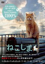 【おまけCL付】新品 ねこしま / (DVD) FFEDS-980