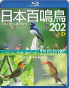 【おまけCL付】シンフォレストBlu-ray 日本百鳴鳥 202 HD ハイビジョン映像と鳴き声で愉しむ野鳥図鑑 / (Blu-ray) RDA16-TKO