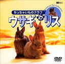 【おまけCL付】シンフォレスト ウサギとリス/ちっちゃいものクラブ / (DVD) SDA23-TKO