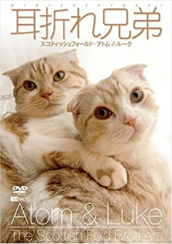 【おまけCL付】シンフォレスト 耳折れ兄弟 スコティッシュフォールド・アトム&ルーク / (DVD) SDA69-TKOのサムネイル