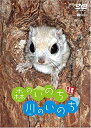 【おまけCL付】シンフォレスト 映像絵本 森のいのち・川のいのち SAVE THE FOREST / (DVD) SDA83-TKO