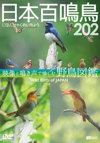 【おまけCL付】シンフォレストDVD 日本百鳴鳥 202 映像と鳴き声で愉しむ野鳥図鑑 / (DVD) SDB13-TKOのサムネイル