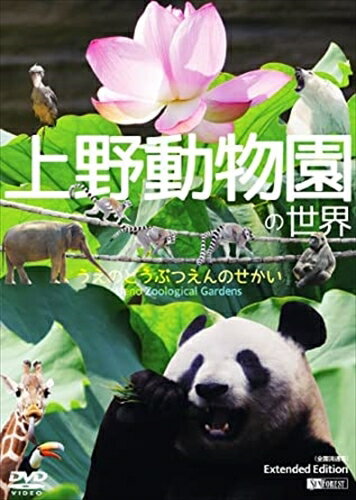 シンフォレストDVD 上野動物園の世界 全国流通版 / (DVD) SDB16-TKO