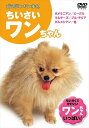 【おまけCL付】新品 どうぶつだいすき ちいさいワンちゃん / (DVD) KID-1301