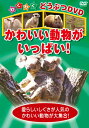 【おまけDVD付】新品 かわいい動物がいっぱい! / (1DVD) KIC-806