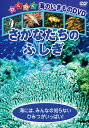 【おまけDVD付】新品 さかなたちのふしぎ / (1DVD) KIC-807