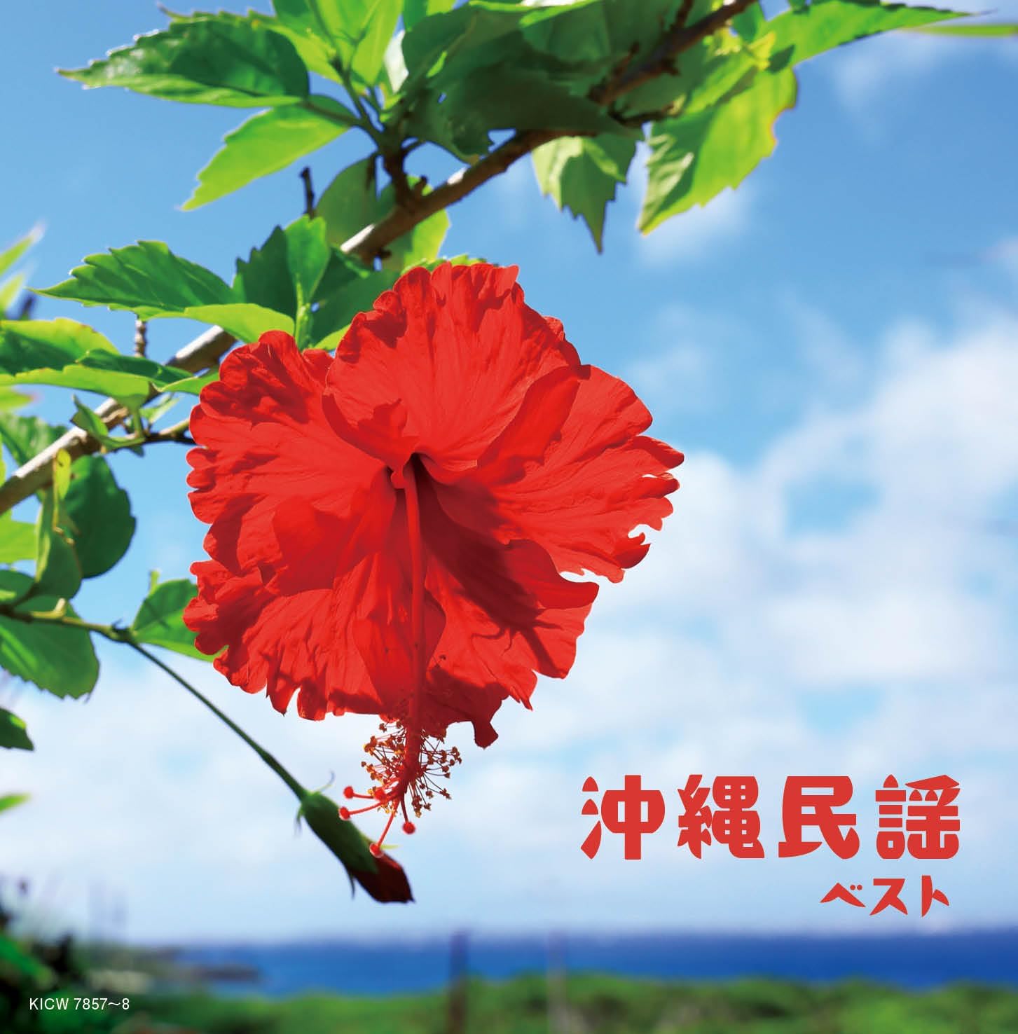 商品説明 収録曲 ディスク： 1 1.安里屋ユンタ 〔八重山〕 2.コイナーユンタ 〔八重山〕 3.多幸山 〔本島〕 4.月ぬ美しゃ 〔八重山〕 5.てぃんさぐぬ花 〔本島〕 6.小浜節 〔八重山〕 7.谷茶前 伊計離節-谷茶前節 〔本島〕 8.とぅばらーま節 〔八重山〕 9.海ぬちんぼーら(ちんぼーら節-赤山節) 〔本島〕 10.汀間とー 汀間とー 月ぬ夜節 〔本島〕 11.乙女百合の花 〔本島〕 12.祝節 〔本島〕 13.述懐節 〔本島〕 14.つぃんだら節 〔本島〕 15.汗水節 〔本島〕 16.唐船どーい 〔本島〕 ディスク： 2 1.花 〔本島〕 2.鳩間節 〔本島〕 3.嘉手久 〔本島〕 4.赤馬節 〔八重山〕 5.赤田首里殿内 〔本島〕 6.伊良部とーがに 〔宮古〕 7.取納奉行 〔本島〕 8.西武門節 〔本島〕 9.上り口説 〔本島〕 10.多良間しょんかね 〔宮古〕 11.加那ョー節 〔本島〕 12.六調節 〔八重山〕 13.あっちゃめー小 〔本島〕 14.かぎやで風節 〔本島〕 15.守礼の島 〔本島〕 商品仕様 形式 2CD 品番 KICW7857 JAN 4988003667924 発売日 2026.05.13 発売元 キングレコード ※仕様・収録内容は告知なく変更になる場合がございます。 登録日 2026.05.13＜ 注 意 事 項 ＞ ◆おまけカレンダーに関する問合せ、クレーム等は一切受付けておりません。 絵柄はランダムとなります。絵柄の指定は出来かねます。 予めご了承ください。