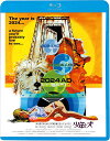 【おまけCL付】2025.08.06発売 少年と犬 / (Blu-ray) KIXF2009