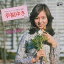 【おまけCL付】幸福ゆき / 坂口良子 (CD-R) VODL-37148-LOD 1,320円