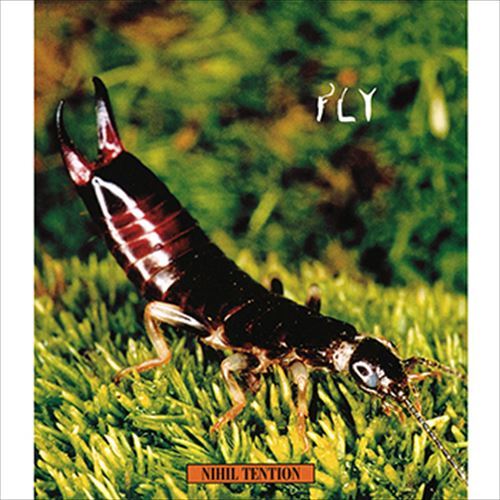 【おまけCL付】FLY / NIHIL TENTION (CD-R) VODL-60338-LOD