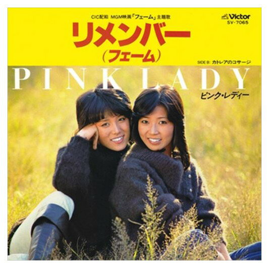 ◆ 商品説明 LABEL ON DEMANDとは 現在、CDやレコードなどパッケージではなかなか入手困難なシングルやアルバムを、 1枚のご注文からオンデマンドで製造、ジャケットはデジタル印刷でお届けするサービスです。 お客様のご注文によりオンデマンドで製造し、お届けいたします。 音源は LABEL ON DEMAND 専用CD-Rに記録します。音質は市販されているCDと同等です。 ジャケット・歌詞等の印刷物は印刷会社によるデジタル印刷で作製いたします。 レコードメーカーやJASRACなど権利者の許諾の元、発売をしていますので、安心してご利用いただけます。 （※仕様などは、オリジナルとは異なります。） ＜仕様＞CD-R■発売日：2023.04.01品番：VODL-40369　JAN：4570165163682 発売元：JVCケンウッド・ビクターエンタテインメント ＜収録曲＞1.リメンバー(フェーム) 2.カトレアのコサージステレオ 登録日：2023-04-01＜ 注 意 事 項 ＞ ◆おまけカレンダーに関する問合せ、クレーム等は一切受付けておりません。 絵柄はランダムとなります。絵柄の指定は出来かねます。 予めご了承ください。