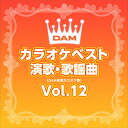 【おまけCL付】DAMカラオケベスト 演歌・歌謡曲 Vol.12 / DAM オリジナル・カラオケ・シリーズ (CD-R) VODL-61253