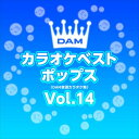 新品 DAMカラオケベストポップス Vol.14 / DAM オリジナル・カラオケ・シリーズ (CD-R) VODL-61303