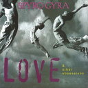 ラヴ・アンド・アザー・オブセッションズ(Love & Other Obsessions) / Spyro Gyra(スパイロ・ジャイラ) (CD-R) VODJ-60195-LOD