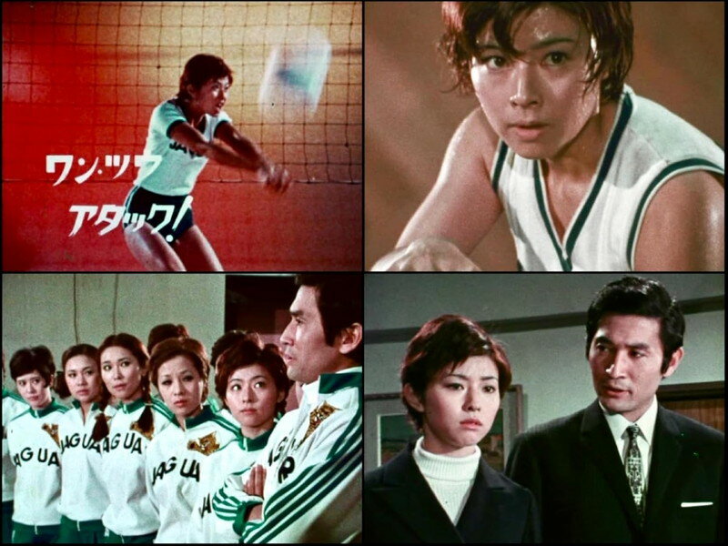 【おまけCL付】2026.03.27発売 ワン・ツウ アタック！ コレクターズDVD ＜HDリマスター版＞【昭和の名作ライブラリー 第176集】 / 大田黒久美(3DVD) BFTD560