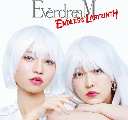 【おまけCL付】ENDLESS LABYRINTH(DVD付) / EverdreaM(エバードリーム) (CD + DVD) XNHI1-SK
