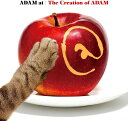 【おまけCL付】The Creation of ADAM / ADAM at (2CD) VICL66031