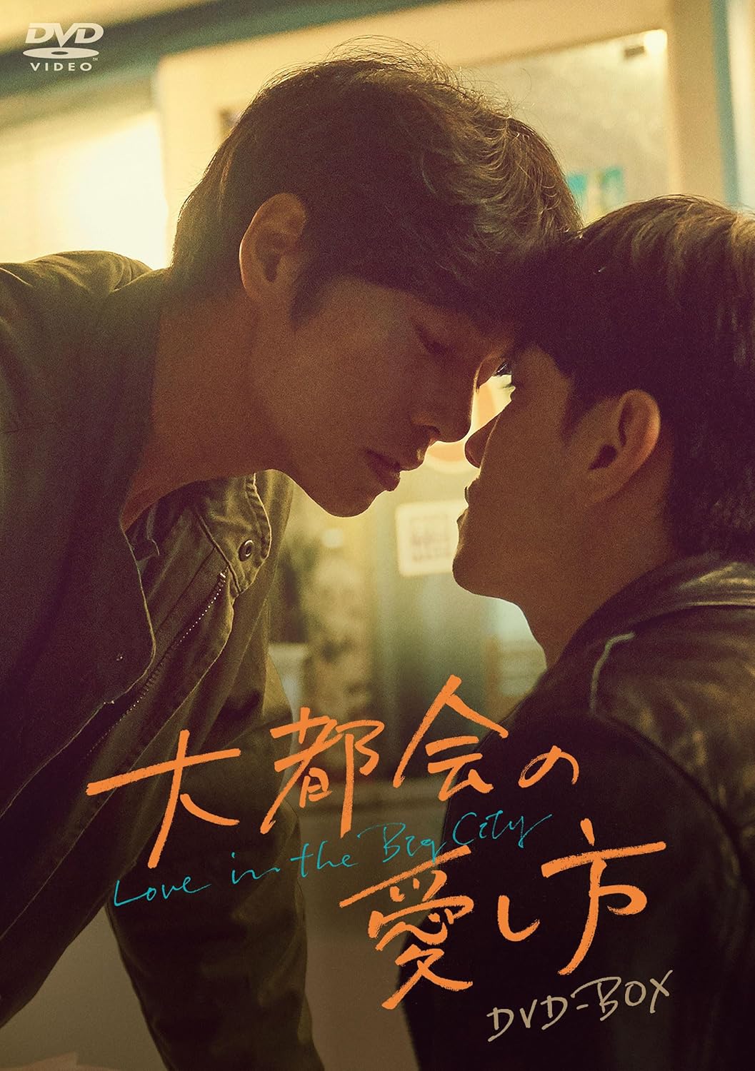 【おまけCL付】新品 大都会の愛し方 〜Love in the Big City〜　DVD-BOX / (4DVD) TCED8407