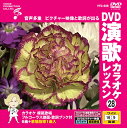 【おまけCL付】新品 DVD演歌カラオケレッスン28 / (DVD) VTG-028
