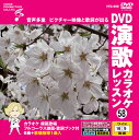 【おまけCL付】新品 DVD演歌カラオケレッスン58 / (DVD) VTG-058