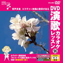 【おまけCL付】新品 DVD演歌カラオケレッスン96 / (DVD) VTG-096