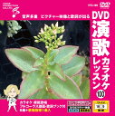 【おまけCL付】新品 DVD演歌カラオケレッスン100 / (DVD) VTG-100
