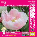 【おまけCL付】新品 DVD演歌カラオケレッスン108 / (DVD) VTG-108