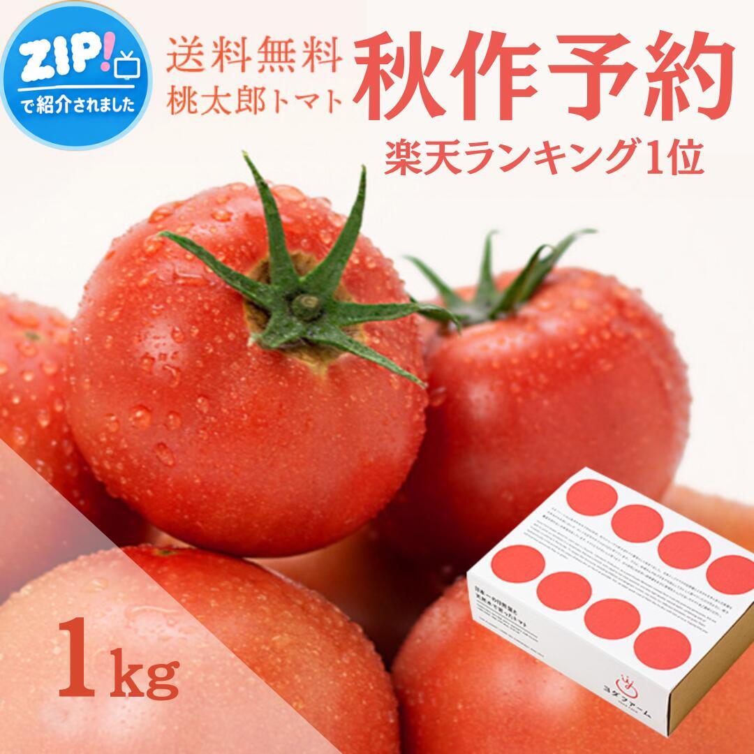 【秋作予約受付中 / 2026年11月～12月順次発送】＼楽天ランキング1位！／ トマト (約1kg) 送料無料 プレゼント 箱入り ボックス 安心安全 農家直送 ヨダファーム 樹上完熟 贈答用 ラッピング ジュース ピューレ ソース ペースト お取り寄せ あす楽