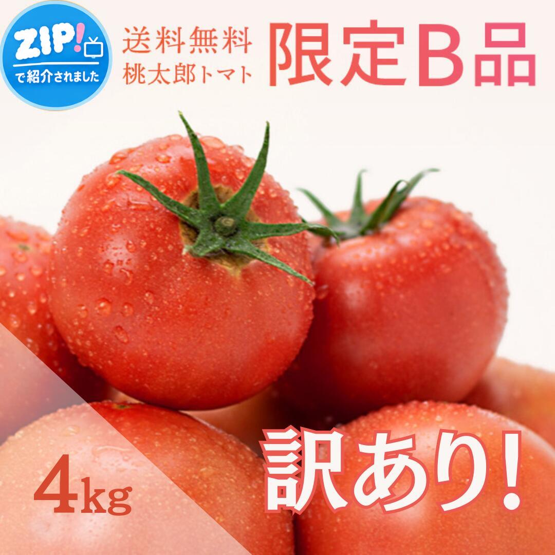 【秋作予約受付中 / 2026年11月～12月順次発送】＼訳あり桃太郎トマト 約4kg B品／ 味はA品と一切変わりなし！ ご家…