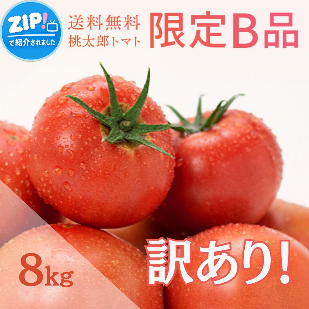 【秋作予約受付中 / 2026年11月～12月順次発送】訳あり山梨桃太郎トマト約8kg B品 味はA品と変わりなし！ご家庭用 簡…