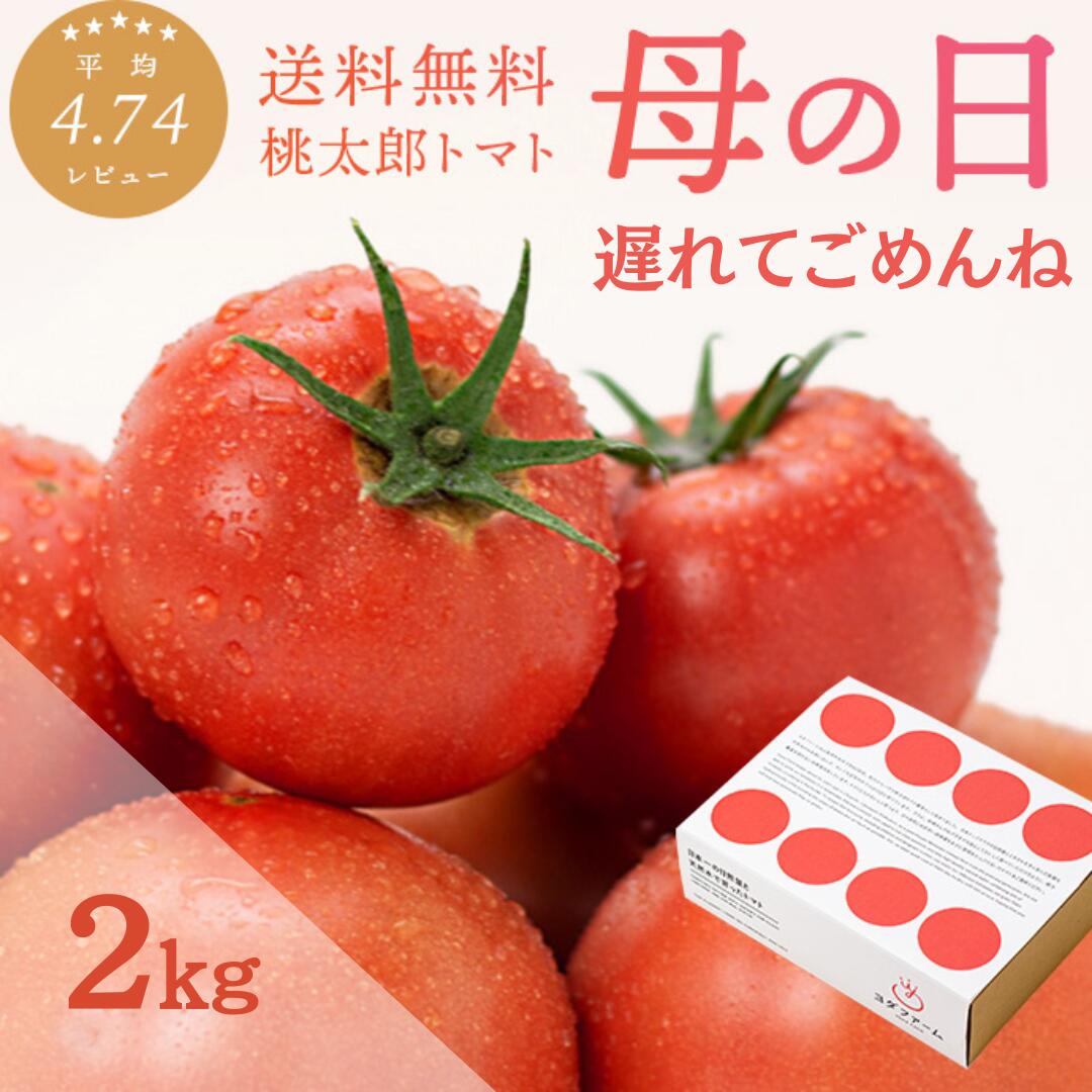 【～16日 1:59 ポイント10倍】 ＼春作採れたて！／トマト (約2kg) ギフト 送料無料 おまけ付き プレゼント 箱入り ボックス 安心安全 とれたて 農家直送 ヨダファーム 樹上完熟 贈答用 ラッピング ジュース ピューレ ソース お取り寄せ あす楽 tomato