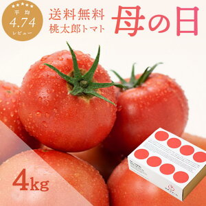 920 ݥ10ܡۡ եȡ ȥޥ (4kg) ե ̵ ޤդ ץ쥼 Ȣ ܥå ¿ Ȥ줿 ľ ե 崰 £ åԥ 塼 ԥ塼  ڡ   tomato