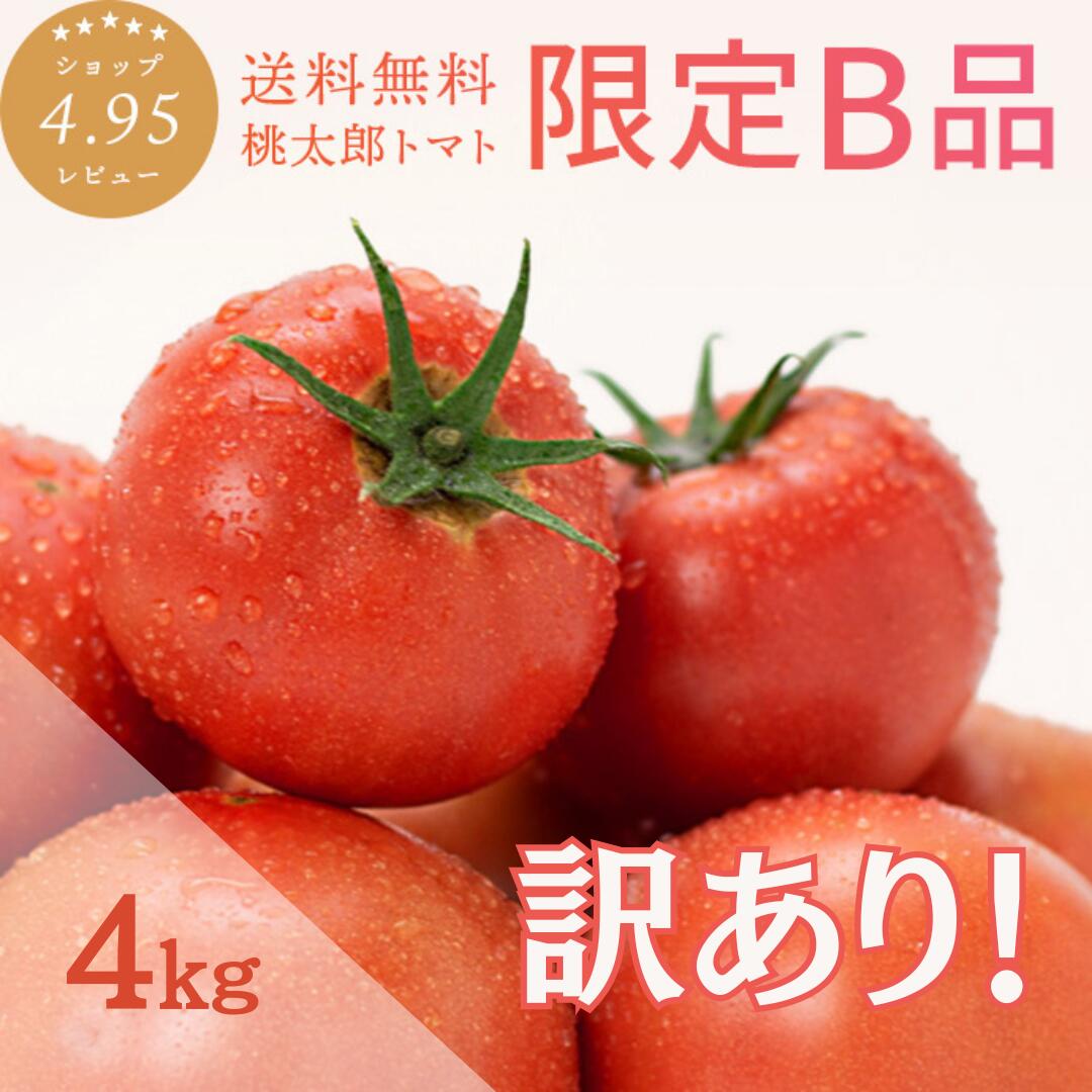 ＼大特価！訳あり山梨桃太郎トマト／ トマト 約4kg B品 味はA品と一切変わりなし！ ご家庭用 簡易梱包 送料無料 安心安全 農家直送 桃太郎トマト ヨダファーム 樹上完熟 トマトランキング1位 ジュース ピューレ ソース ペースト おうち時間 あす楽