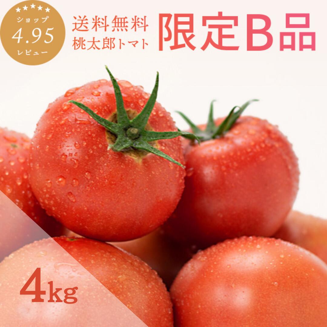 ＼大特価 訳あり／ 【P10倍 27日～13:59まで】トマト 約4kg B品商品 味はA品と一切変わりなし ご家庭用 簡易梱包 わけあり 送料無料 安心安全 農家直送 桃太郎トマト ヨダファーム 樹上完熟 ト…