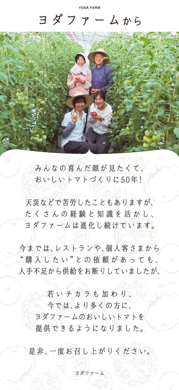 A品と味は 変わりません 形が少し歪で少し割れがあります 梱包は簡易的なものになります 最短即日発送 約4kg B品商品 送料無料 ご家庭用 簡易梱包 わけあり おためし ヨダファーム ハウス桃太郎トマト ソース メーカー公式ショップ トマト 農家直送 樹上完熟 ピューレ