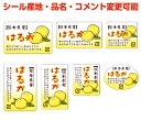 【柑橘・カスタマイズ可能】はるかシール【商品の販売応援/野菜・果物・ラッピング】