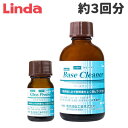 ヘッドライトコーティングシステム HD-1 UV mini 約3回分 ヘッドライトをピカピカに 黄ばみ除去 研磨剤不使用 クリーナー プロテクト 硬化 リンダ ...
