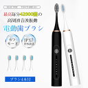 電動歯ブラシ 音波歯ブラシ IPX7防水 静音 最高42000回転/分 替えブラシ4本 6つモード タイマー機能 DC充電 静音設計