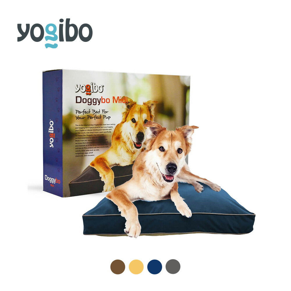 中型犬サイズの贅沢なベッド「Doggyb